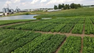 Cover photo for Behind Planting My Full Season Soybeans: What Maturity Group Can I Use?