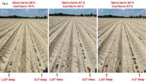 Cover photo for Evaluating Plant Stands, and Decisions Moving Forward (Collins, Edmisten, Reisig, Huseth, & Cahoon)